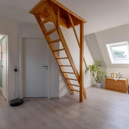 Schwalbennest *